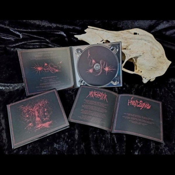 Drengskapur/Häxenzijrkell - Split Digi CD